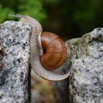 mortgage-loan-obstacles